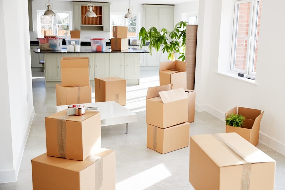 Local Ottawa Movers in ottawa