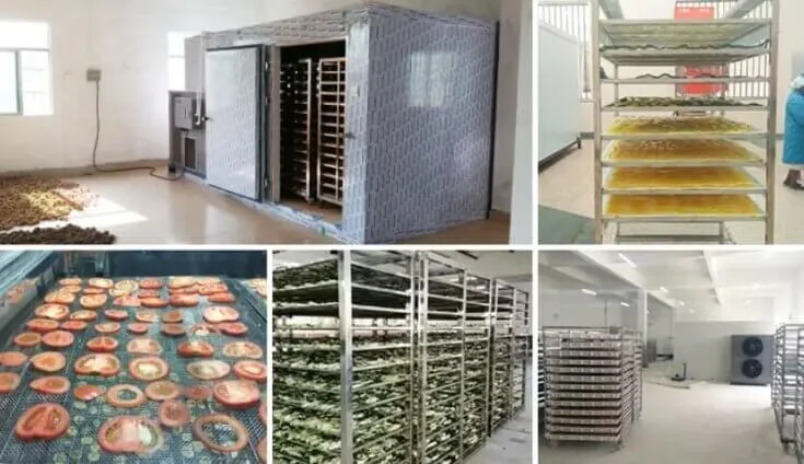 تعمیر دستگاه میوه خشک کن