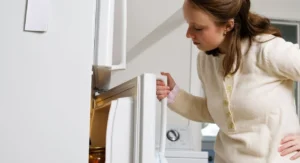 آیا یخچال بدون ترموستات کار می کند؟ آیا یخچال بدون ترموستات کار می کند؟