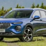 انواع هایما